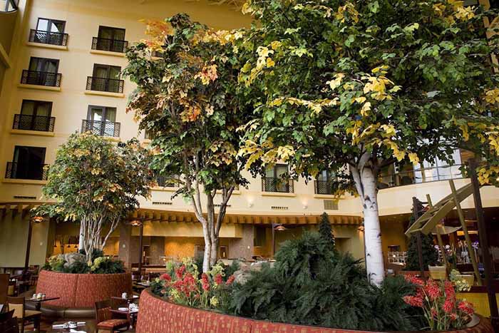 生態餐廳仿真樹和水泥假山讓顧客有種新穎感，奇特感