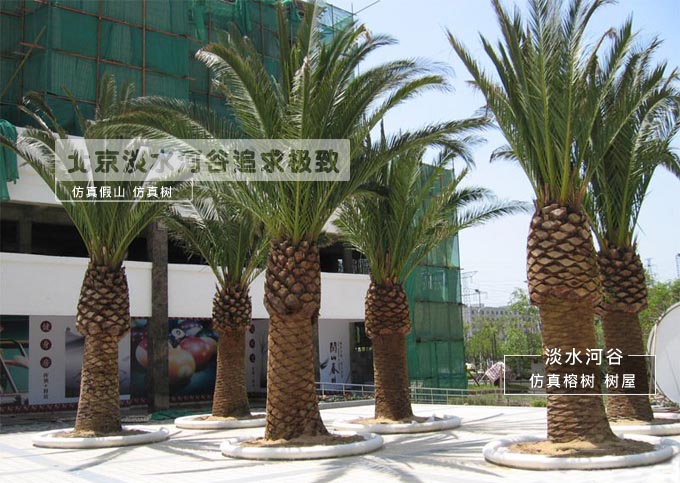 廣西仿真樹生產定制 打造恰到好處的自然f 光