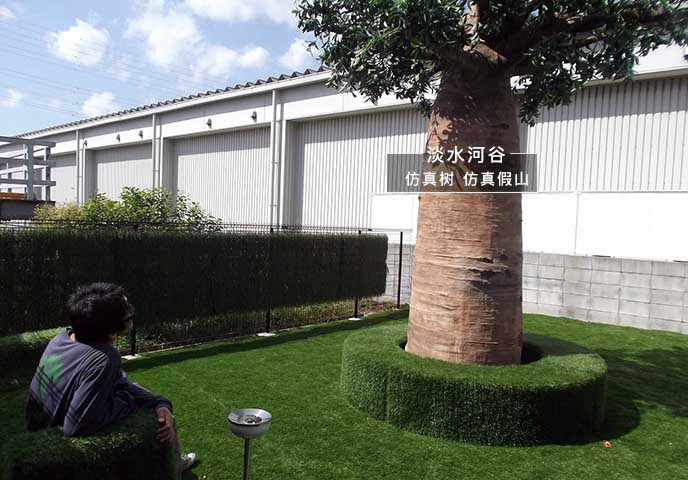 仿真面包樹