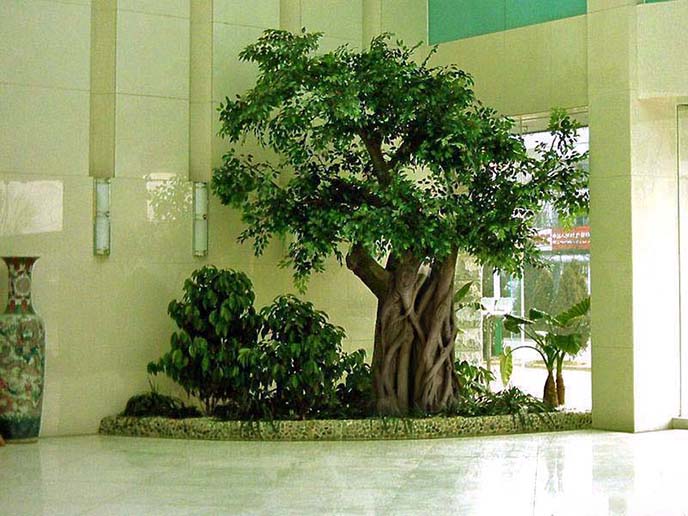 仿真榕樹