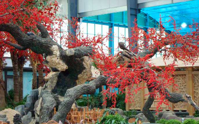 假樹廠家