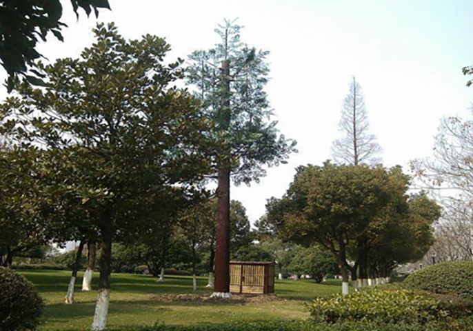仿真樹