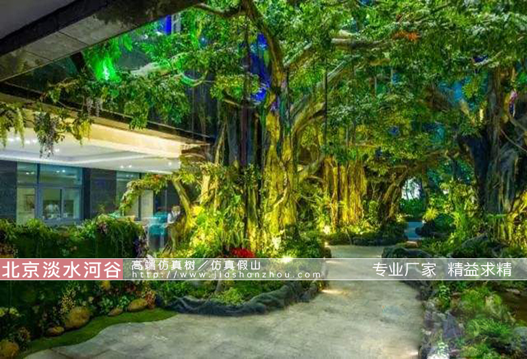 假樹