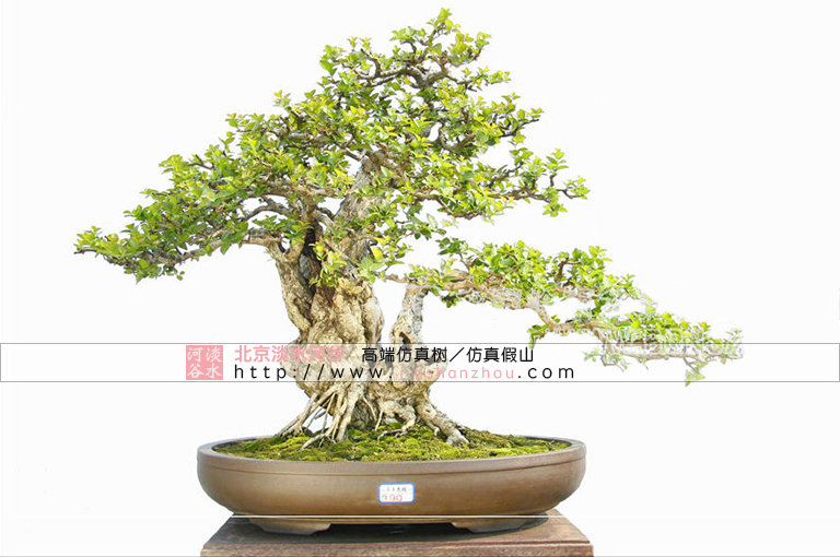 仿真樹