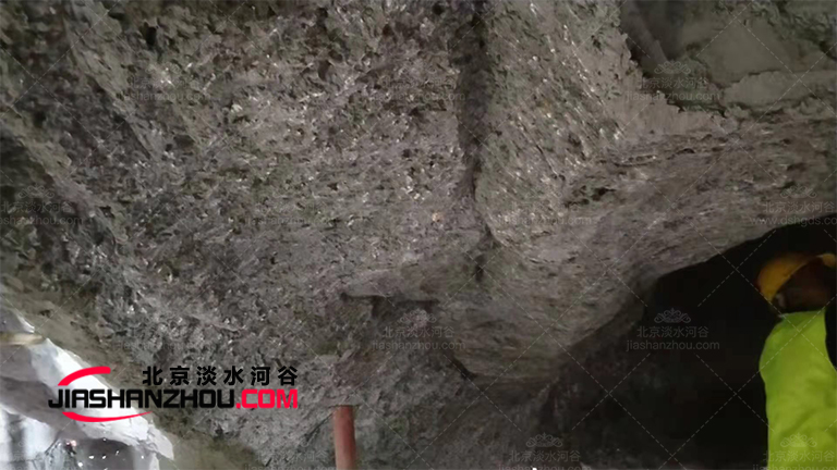 生態洞穴餐廳