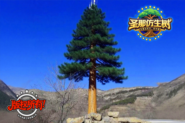 仿真樹